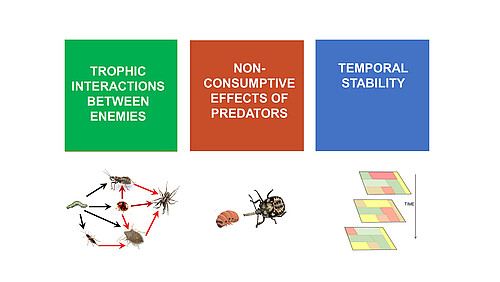 Powerpoint-Folie mit Bildern von biologischen Kontrollinteraktionen.