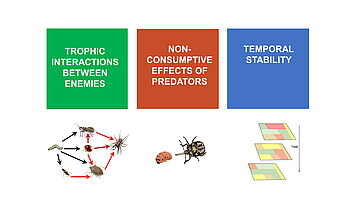 Powerpoint-Folie mit Bildern von biologischen Kontrollinteraktionen.